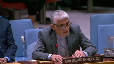 امیرسعید ایروانی