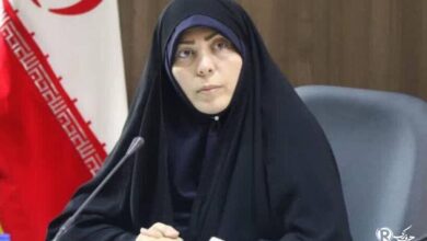 نیر الهامی: برای شناسایی علل و عوامل طلاق در شهرهای مختلف استان سند طلاق تدوین شود