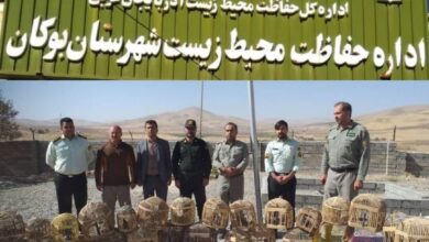 متخلفان زنده‌گیری پرندگان وحشی شهرستان بوکان دستگیر شدند