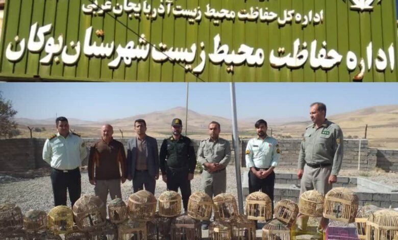 متخلفان زندهگیری پرندگان وحشی شهرستان بوکان دستگیر شدند