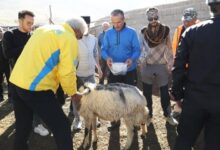 آیین «قوچ قاتما» از آیینهای کهن استان آذربایجان غربی برگزار شد